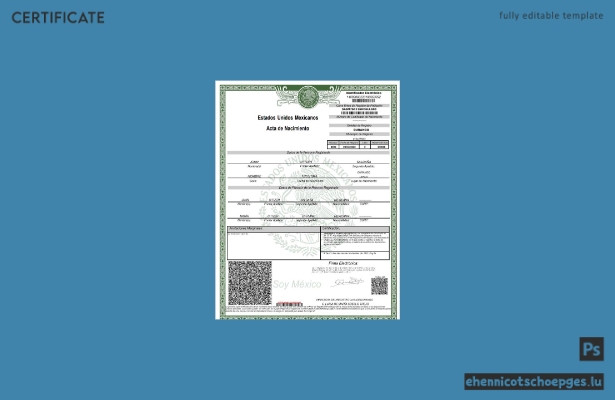 Mexikanisches Geburtszertifikat (Word und PDF), Version 2 – Beispielvorschau